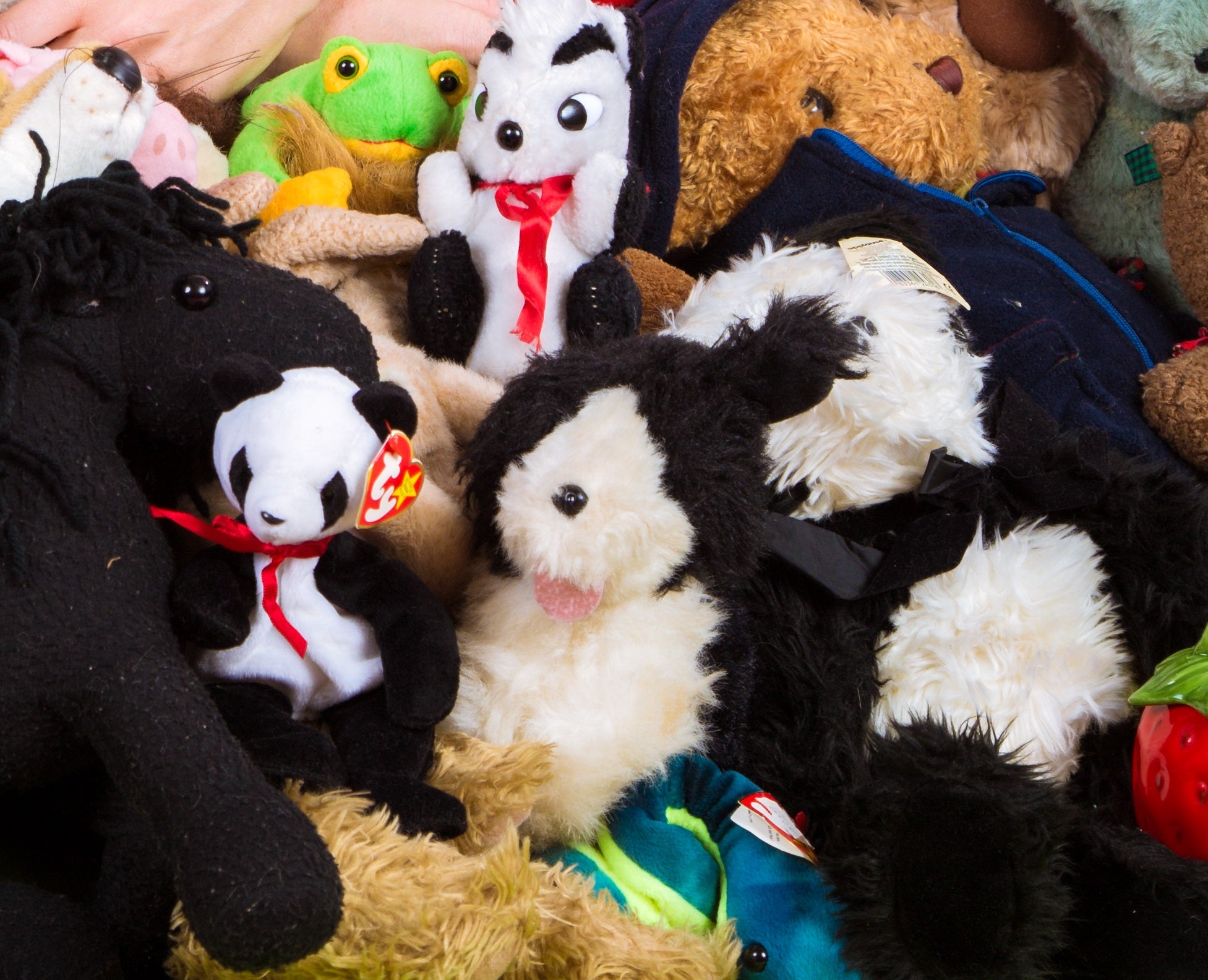 Allison and the gang! Photos Sara Cath - stuffed animals