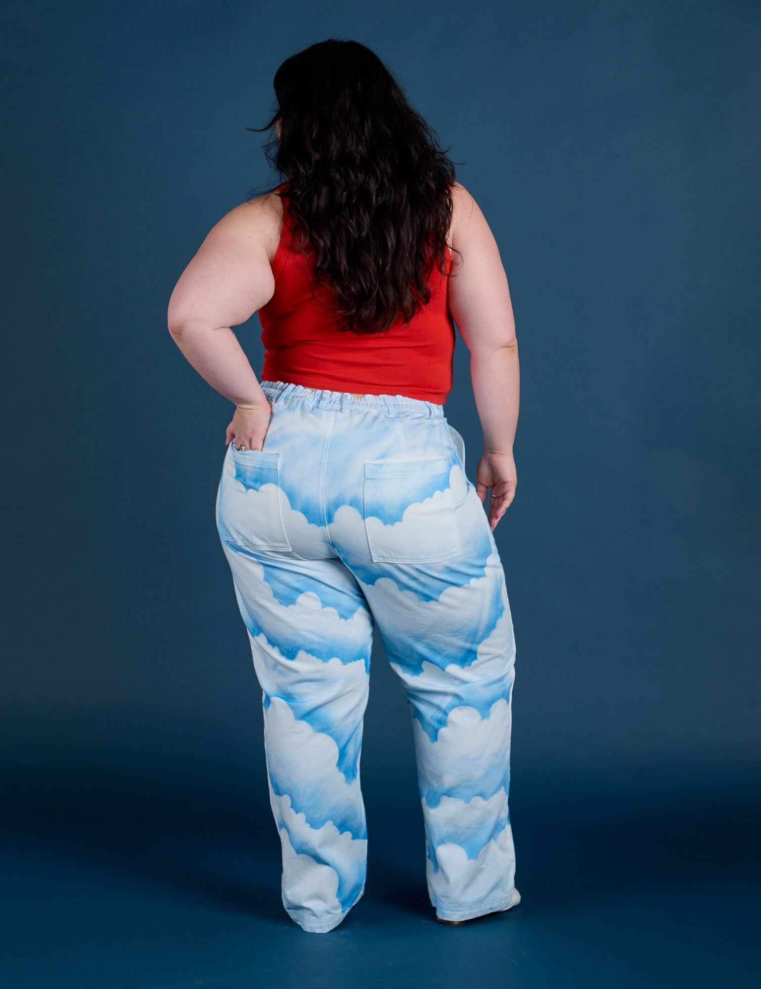 Work Pants in Sunny Cloud Airbrush back view on Ashley